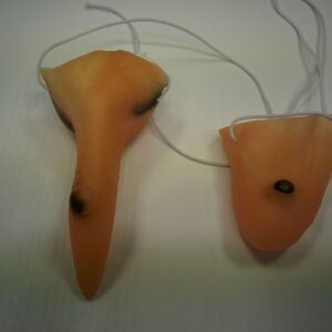 אף וסנטר מכשפה